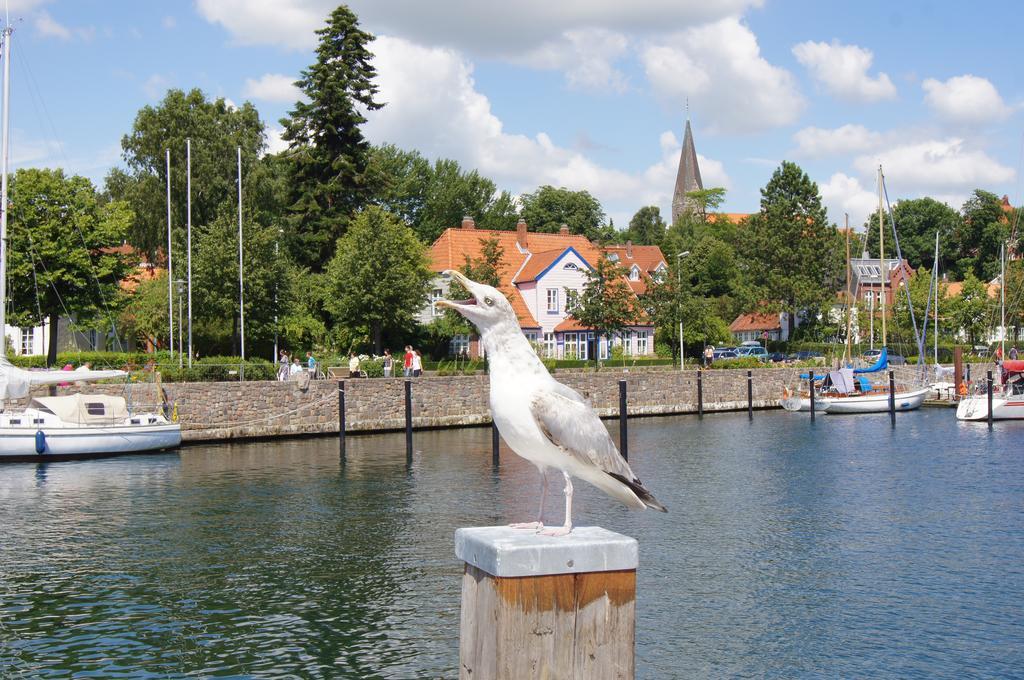 Ostsee Ferienhaeuser Waabs Номер фото